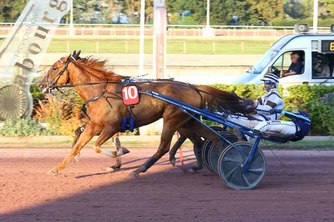 Photo d'arrivée de la course pmu PRIX NORMANDIE CABOURG PAYS D'AUGE à CABOURG le Vendredi 17 juillet 2026