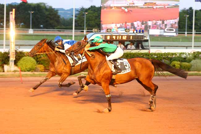 Photo d'arrivée de la course pmu PRIX DU CONSEIL DES CHEVAUX DE NORMANDIE à CABOURG le Vendredi 17 juillet 2026