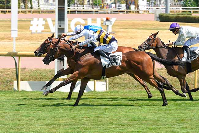 Photo d'arrivée de la course pmu PRIX FREDERIC DE LAGRANGE à VICHY le Lundi 20 juillet 2026