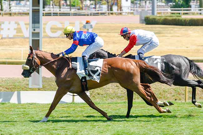 Photo d'arrivée de la course pmu PRIX SELLERIE EQUIRACING (PRIX DE L'HIPPODROME DE CASABLANCA) à VICHY le Mardi 21 juillet 2026
