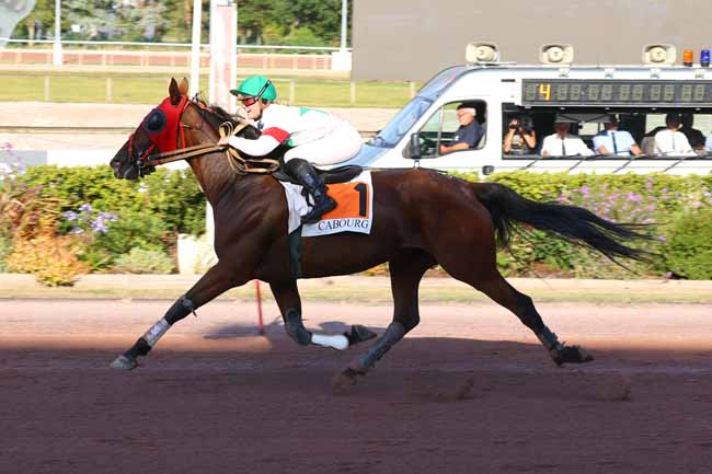Photo d'arrivée de la course pmu PRIX 