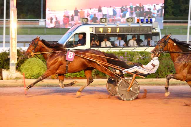 Photo d'arrivée de la course pmu PRIX DES ERINES à CABOURG le Vendredi 24 juillet 2026