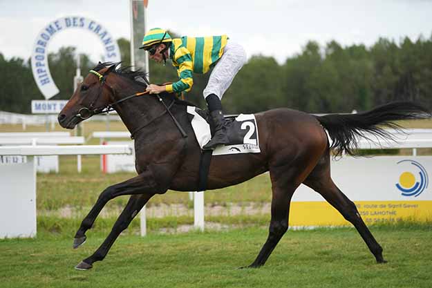 Photo d'arrivée de la course pmu PRIX CAVIAR STURIA - GRAND PRIX DE LA TESTE à MONT DE MARSAN le Dimanche 26 juillet 2026