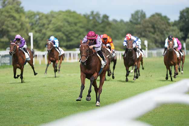 Photo d'arrivée de la course pmu PRIX CHATEAU DE PORTETS à MONT DE MARSAN le Dimanche 26 juillet 2026