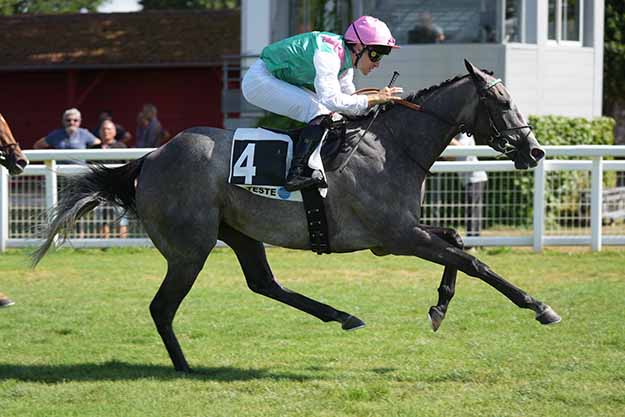 Photo d'arrivée de la course pmu PRIX LA SORELLINA à MONT DE MARSAN le Dimanche 26 juillet 2026
