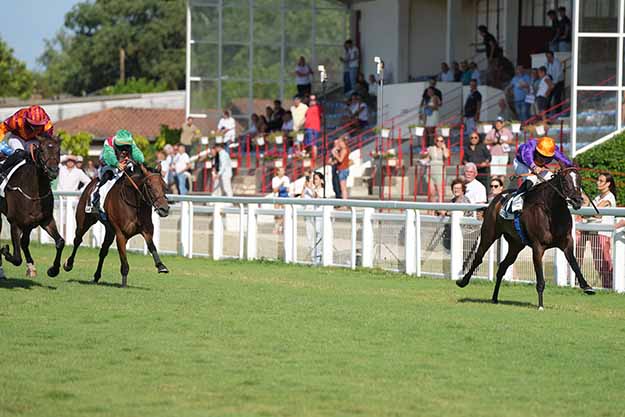 Photo d'arrivée de la course pmu PRIX DE L'UBA (UNION DES BATELIERS ARCACHONNAIS) à MONT DE MARSAN le Dimanche 26 juillet 2026