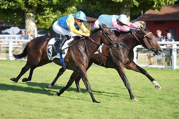Photo d'arrivée de la course pmu PRIX GUEULETON ARCACHON à MONT DE MARSAN le Dimanche 26 juillet 2026