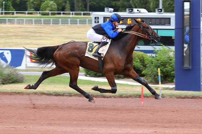 Photo d'arrivée de la course pmu PRIX D'AIX-EN-PROVENCE à ENGHIEN le Dimanche 26 juillet 2026