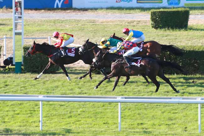 Photo d'arrivée de la course pmu PRIX KUNGS - THIS GIRL (PRIX DES LAVATERES) à CLAIREFONTAINE le Lundi 27 juillet 2026