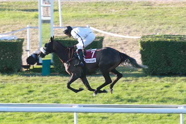 Photo d'arrivée de la course pmu ETIENNE DE CRECY - YOU (PRIX DU VIEUX POIRIER) à CLAIREFONTAINE le Lundi 27 juillet 2026