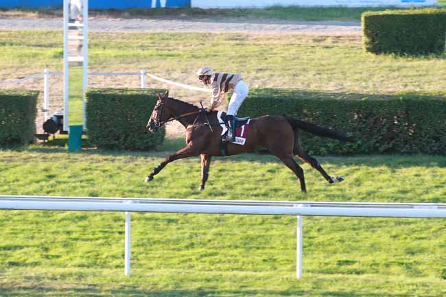 Photo d'arrivée de la course pmu BELLAIRE - TAKE FIVE (PRIX DES ORCHIDEES) à CLAIREFONTAINE le Lundi 27 juillet 2026
