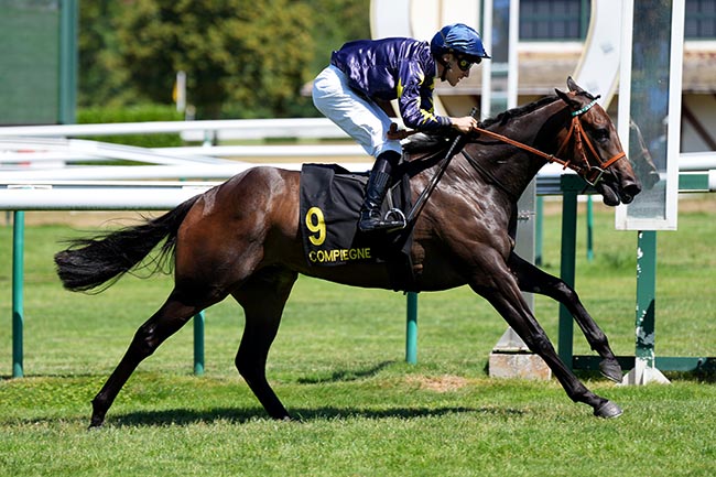 Photo d'arrivée de la course pmu PERSONNEL DE HARAS (PRIX DE PONDRON) à COMPIEGNE le Mardi 28 juillet 2026