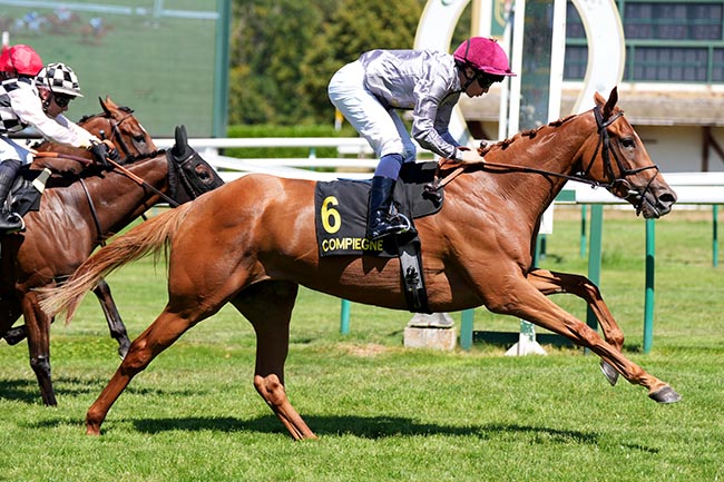 Photo d'arrivée de la course pmu LEADERSHIP & MANAGEMENT (PRIX DE DRESLINCOURT) à COMPIEGNE le Mardi 28 juillet 2026