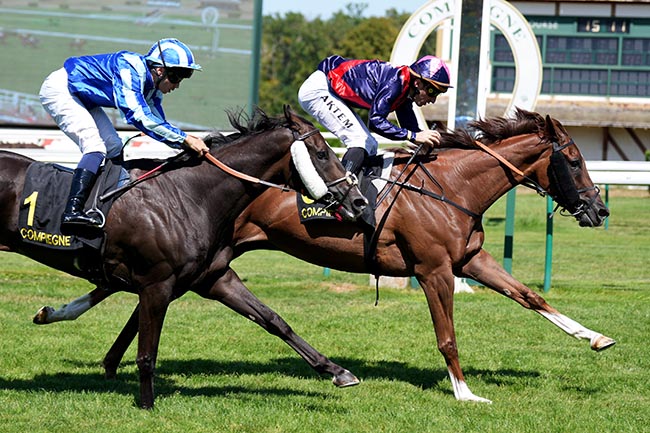 Photo d'arrivée de la course pmu PERSONNEL DE SOIN BY RED MILLS (PRIX DE VILLERS-COTTERETS) à COMPIEGNE le Mardi 28 juillet 2026