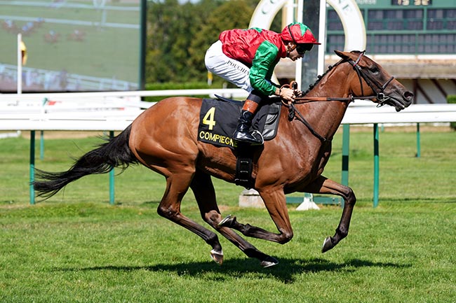 Photo d'arrivée de la course pmu PERSONNEL ADMINISTRATIF (PRIX EULALIE) à COMPIEGNE le Mardi 28 juillet 2026