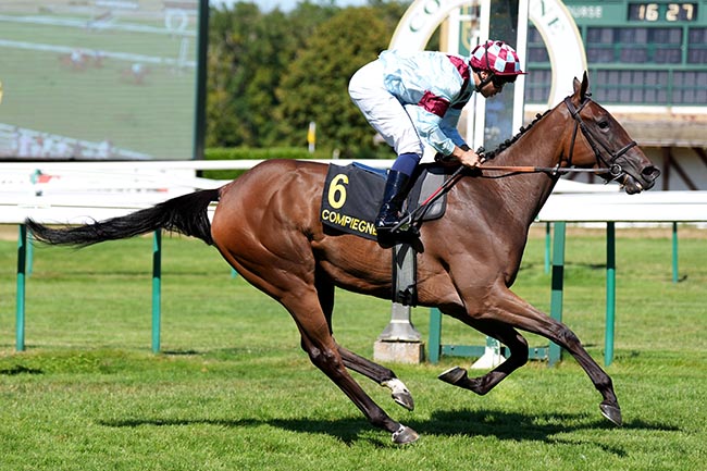Photo d'arrivée de la course pmu JEUNE ESPOIR BY PARIS TURF (PRIX DE LA THIERACHE) à COMPIEGNE le Mardi 28 juillet 2026