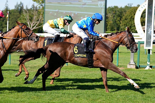 Photo d'arrivée de la course pmu DEVOUEMENT POUR LES COURSES BY L'AEDG (PRIX DE LA VALLEE DE L'AUTOMNE) à COMPIEGNE le Mardi 28 juillet 2026