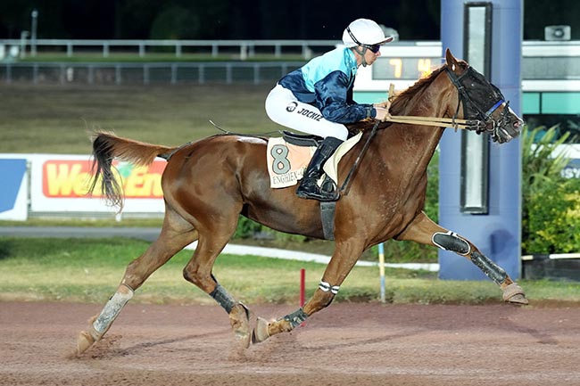 Photo d'arrivée de la course pmu PRIX DE LA PLACE SAINT-MICHEL à ENGHIEN le Mercredi 29 juillet 2026