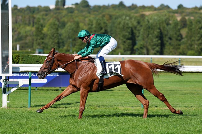 Photo d'arrivée de la course pmu PRIX DES BAINS DE MER à DIEPPE le Jeudi 30 juillet 2026