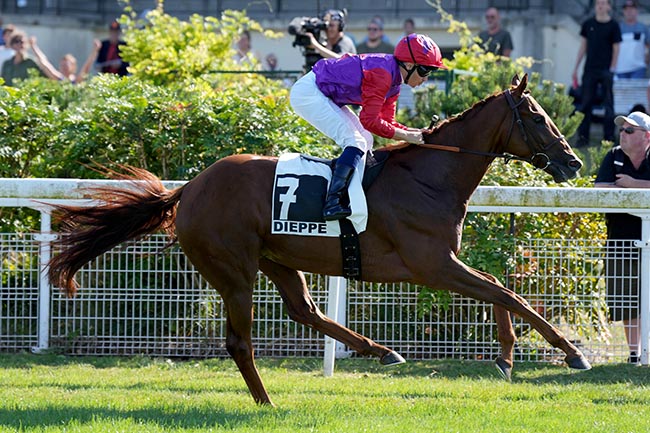 Photo d'arrivée de la course pmu PRIX DE FROMAINVILLE à DIEPPE le Jeudi 30 juillet 2026
