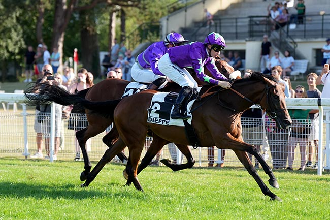 Photo d'arrivée de la course pmu PRIX BON MOT à DIEPPE le Jeudi 30 juillet 2026