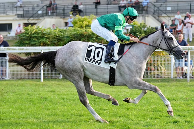 Photo d'arrivée de la course pmu PRIX DU QUEBEC à DIEPPE le Jeudi 30 juillet 2026