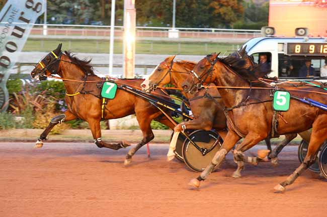 Photo d'arrivée de la course pmu PRIX DES PHLOX à CABOURG le Vendredi 31 juillet 2026