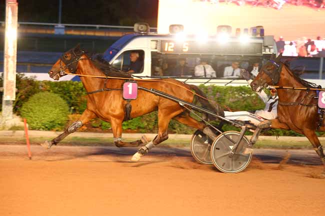 Photo d'arrivée de la course pmu PRIX DES PIMPRENELLES à CABOURG le Vendredi 31 juillet 2026