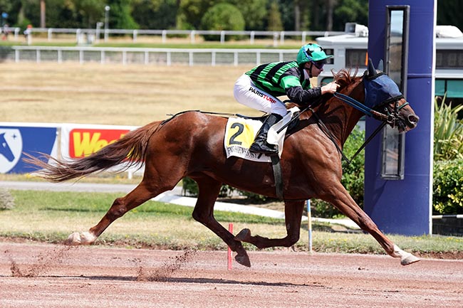 Photo d'arrivée de la course pmu PRIX DE MONTEVRAIN à ENGHIEN le Samedi 1 août 2026