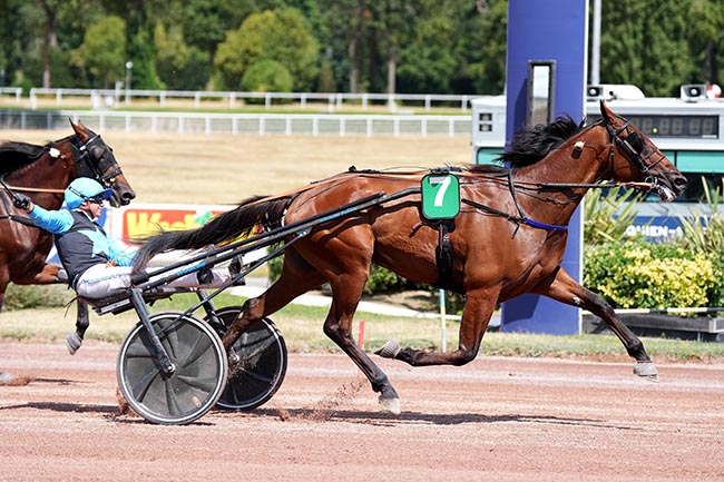 Photo d'arrivée de la course pmu PRIX DE BERLIN à ENGHIEN le Samedi 1 août 2026