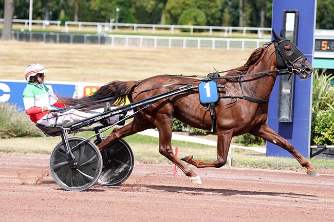Photo d'arrivée de la course pmu PRIX DE GENEVE à ENGHIEN le Samedi 1 août 2026