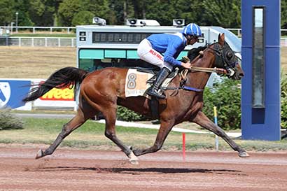 Photo d'arrivée de la course pmu PRIX DE LA PLACE VAUBAN à ENGHIEN le Dimanche 2 août 2026