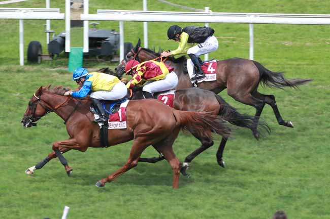 Photo d'arrivée de la course pmu ABEILLE NOIRE DE NORMANDIE - PRIX DES GARDENIAS à CLAIREFONTAINE le Lundi 3 août 2026