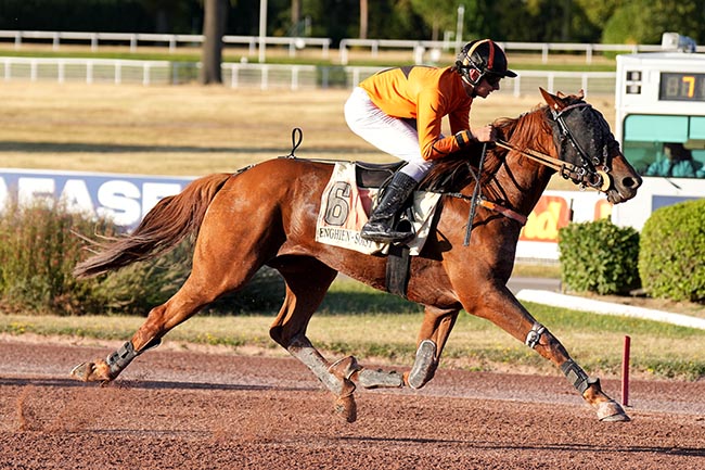 Photo d'arrivée de la course pmu PRIX DE L'AIGLE à ENGHIEN le Jeudi 6 août 2026