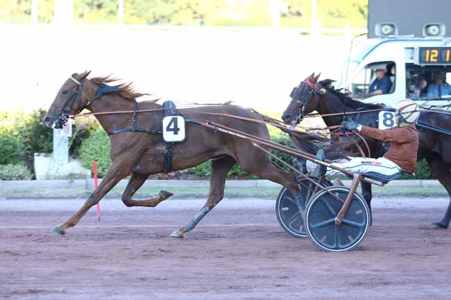 Photo d'arrivée de la course pmu PRIX DES COREOPSIS à CABOURG le Vendredi 7 août 2026