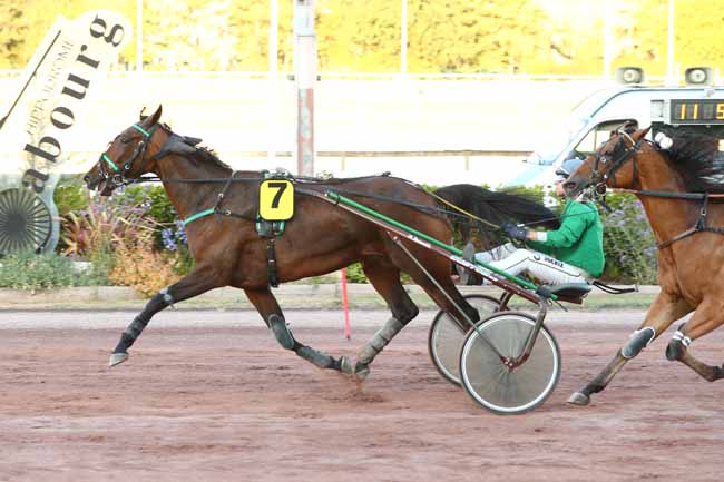 Arrivée quinté pmu PRIX BRUNO COQUATRIX à CABOURG