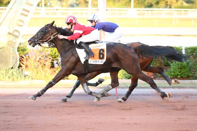 Photo d'arrivée de la course pmu PRIX CABOURG JET (PRIX CARDERES) à CABOURG le Vendredi 7 août 2026