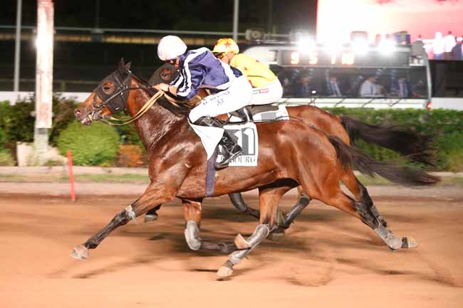 Photo d'arrivée de la course pmu PRIX DES IFS à CABOURG le Vendredi 7 août 2026