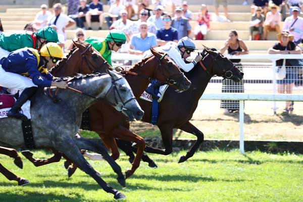 Photo d'arrivée de la course pmu PRIX KENMARE à CLAIREFONTAINE le Vendredi 7 août 2026