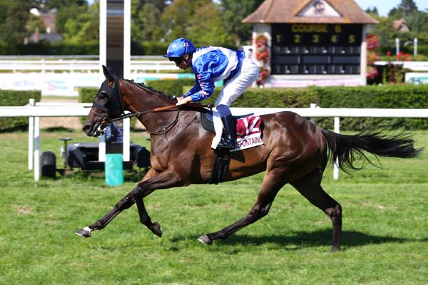 Photo d'arrivée de la course pmu PRIX DU CONCOURS ''PEIGNEZ CLAIREFONTAINE'' (PRIX DU CHEMIN DE L'HIPPODROME) à CLAIREFONTAINE le Vendredi 7 août 2026