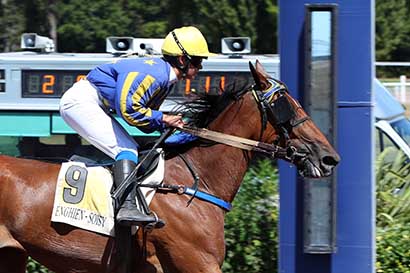 Photo d'arrivée de la course pmu PRIX DE LA PLACE DE VALOIS à ENGHIEN le Samedi 8 août 2026