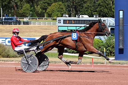 Photo d'arrivée de la course pmu PRIX DE MARNES-LA-COQUETTE à ENGHIEN le Samedi 8 août 2026