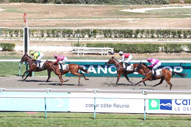 Photo d'arrivée de la course pmu PRIX D'ABLON à DEAUVILLE le Mardi 11 août 2026