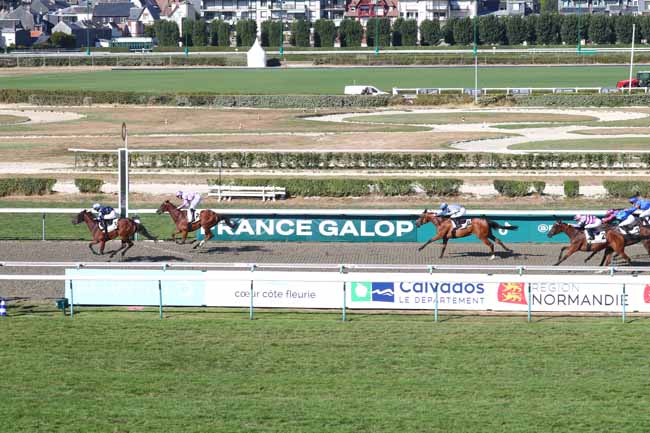 Photo d'arrivée de la course pmu PRIX DE PONT-L'EVEQUE à DEAUVILLE le Mardi 11 août 2026