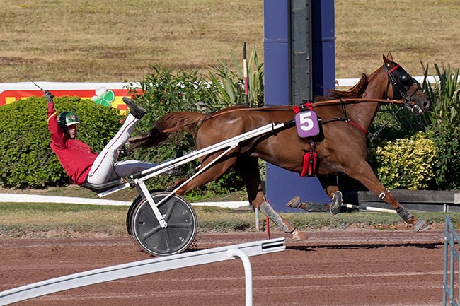 Photo d'arrivée de la course pmu PRIX DE LA PORTE BRUNET à ENGHIEN le Mercredi 12 août 2026