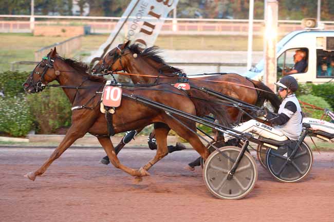 Photo d'arrivée de la course pmu PRIX DU HARAS DU PIN à CABOURG le Vendredi 14 août 2026