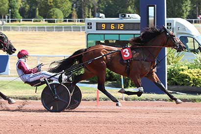 Photo d'arrivée de la course pmu PRIX REINE DU CORTA-CRITERIUM 3 ANS Q2 à ENGHIEN le Vendredi 14 août 2026
