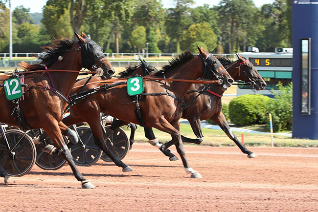 Photo d'arrivée de la course pmu PRIX PAUL LEGUERNEY-CRITERIUM 4 ANS Q1 à ENGHIEN le Vendredi 14 août 2026