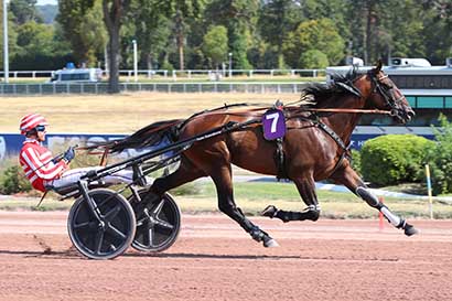 Photo d'arrivée de la course pmu PRIX PHAETON-CRITERIUM 4 ANS Q2 à ENGHIEN le Vendredi 14 août 2026