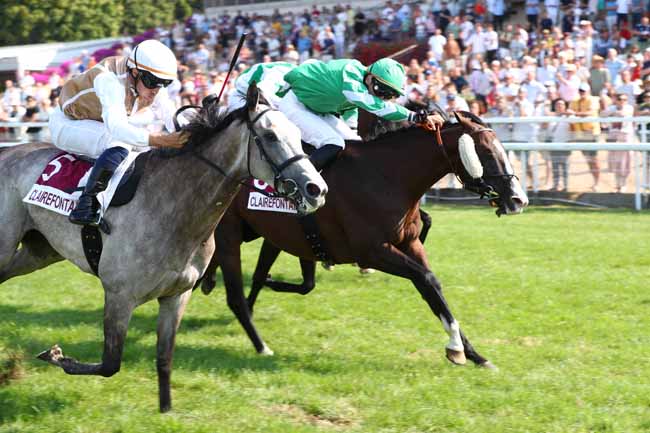 Photo d'arrivée de la course pmu PRIX LES AMNOS BENERVILLE (PRIX DE SAINT-JOUIN) à CLAIREFONTAINE le Vendredi 14 août 2026